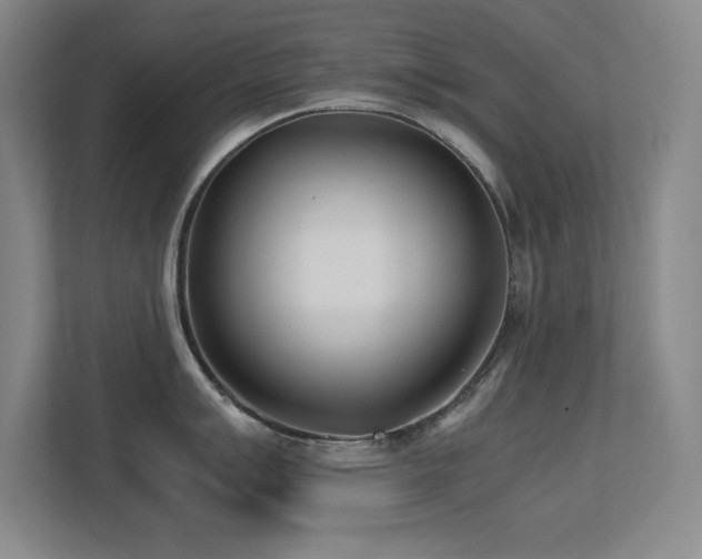 X0000113211007200909101128
