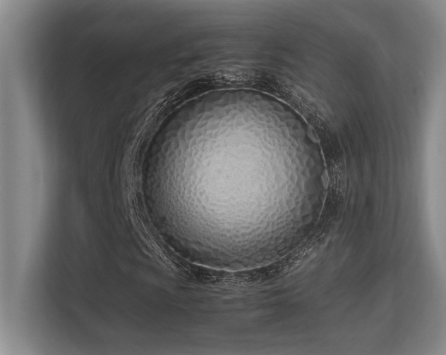 X0000113211009200909101127