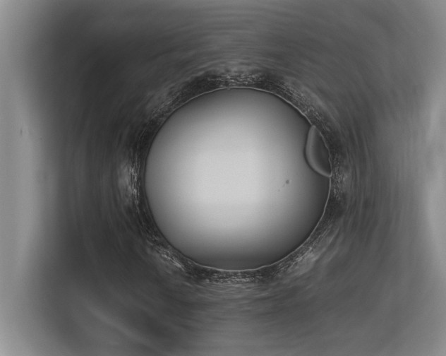 X0000113211010200909101127