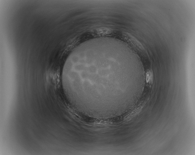 X0000113211011200909101127