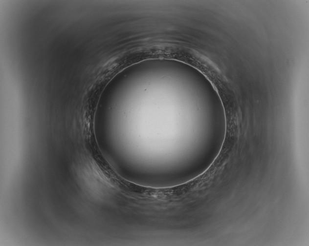 X0000113211013200909101127