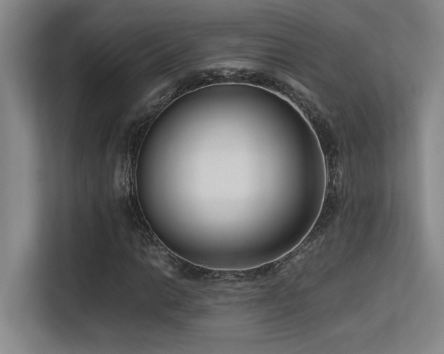 X0000113211014200909101127