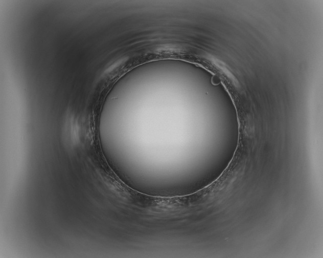 X0000113211015200909101127