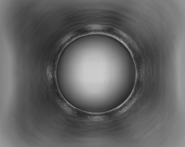 X0000113211017200909101127