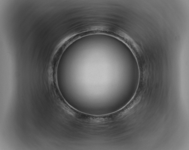 X0000113211019200909101127