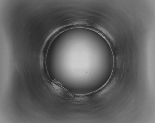 X0000113211021200909101128