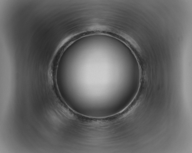 X0000113211022200909101128