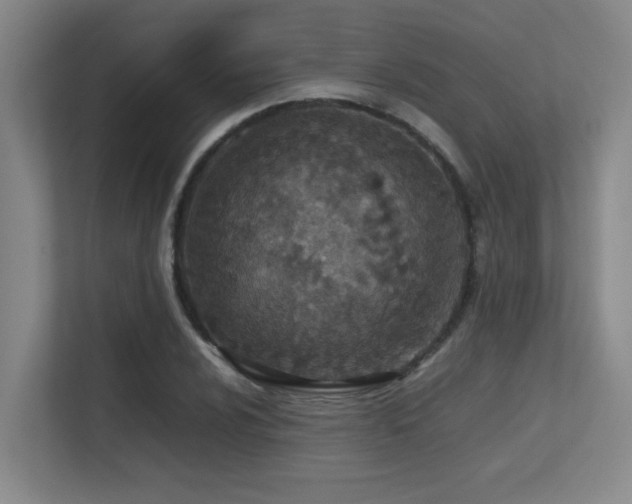 X0000113211024200909101128
