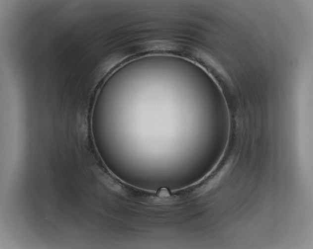 X0000113211025200909101128