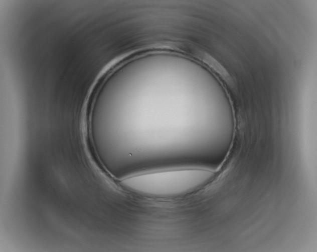 X0000113211028200909101128