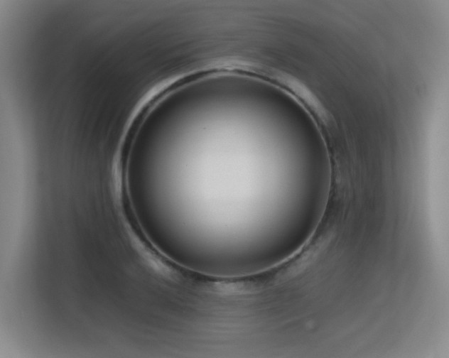 X0000113211032200909101128