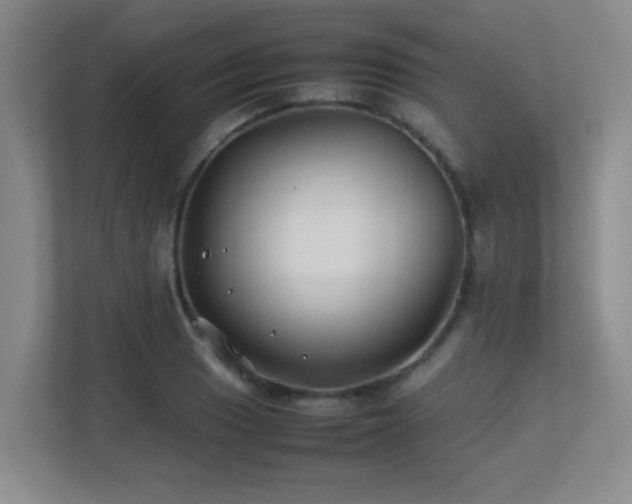 X0000113211033200909101128