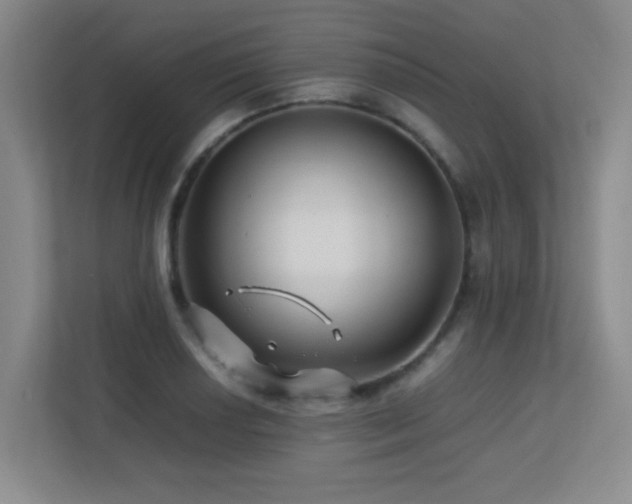 X0000113211034200909101128
