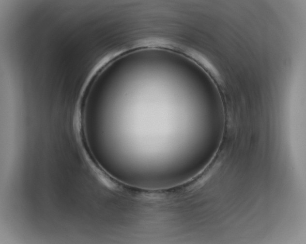X0000113211040200909101128