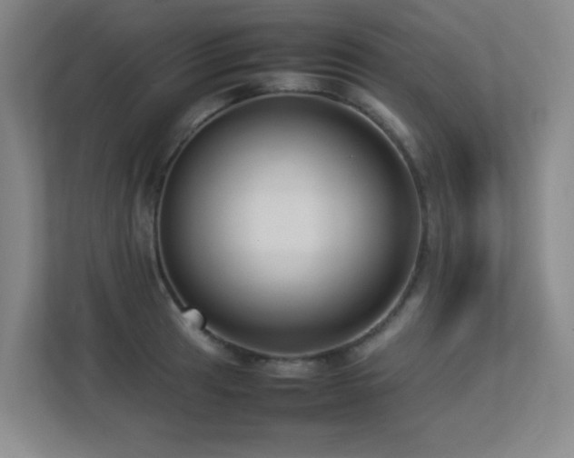 X0000113211041200909101128