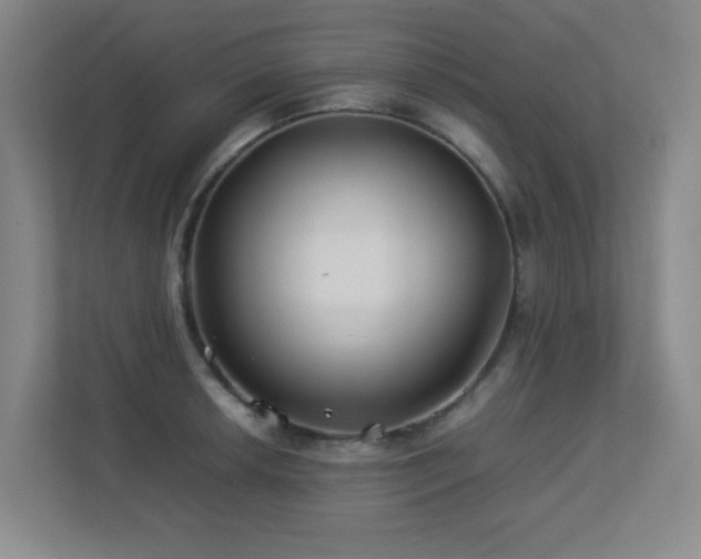 X0000113211042200909101128