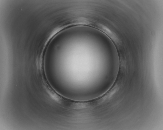 X0000113211044200909101128