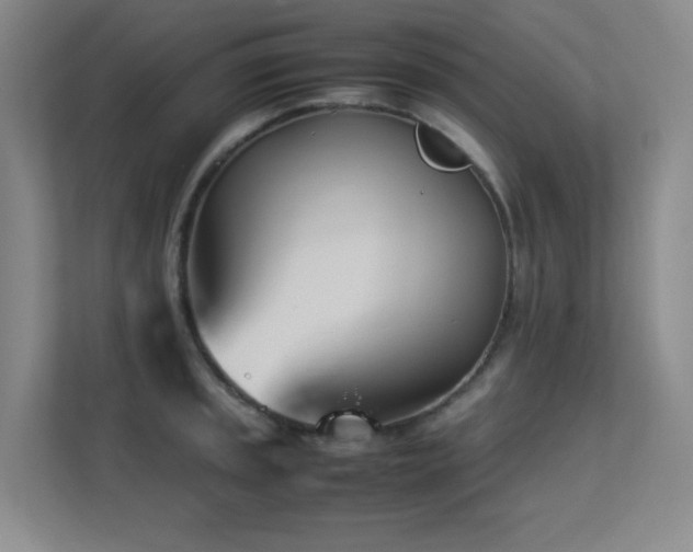 X0000113211045200909101128