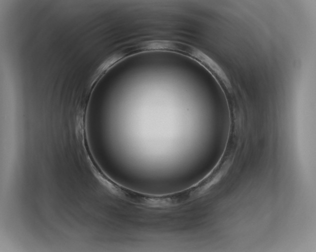 X0000113211049200909101128