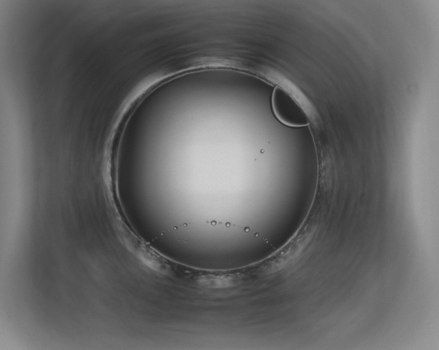 X0000113211051200909101128