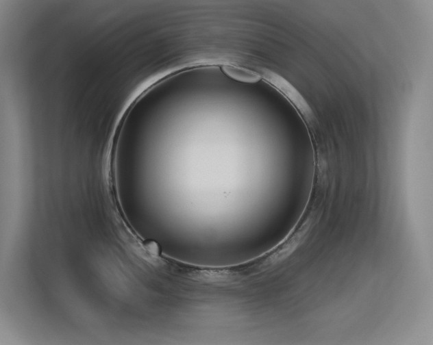 X0000113211052200909101128
