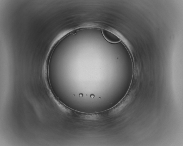 X0000113211053200909101128