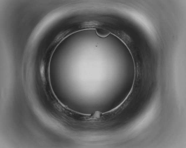 X0000113211054200909101128