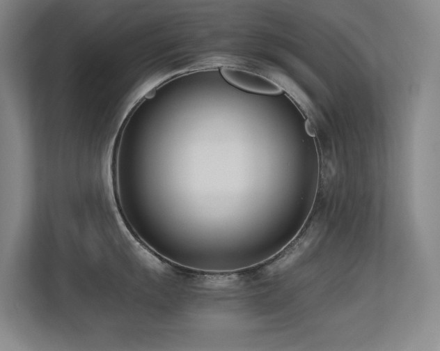 X0000113211055200909101128