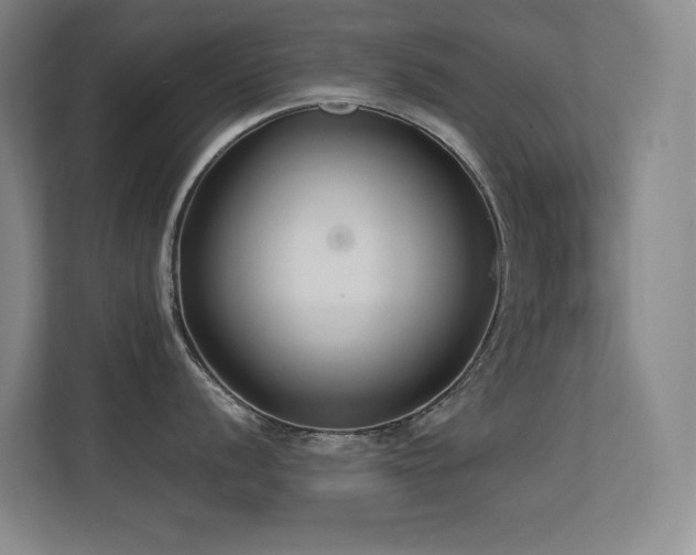 X0000113211056200909101128