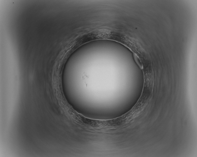 X0000113211057200909101127
