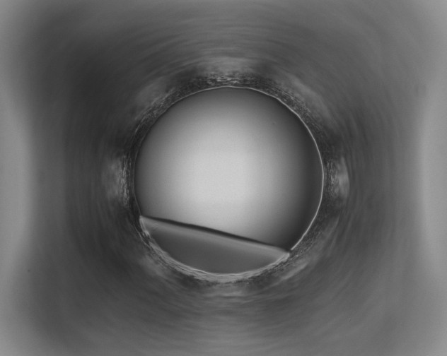X0000113211060200909101127