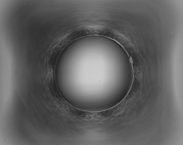 X0000113211061200909101127