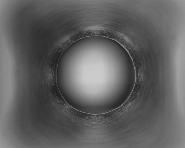 X0000113211062200909101127