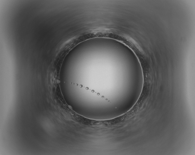 X0000113211063200909101127