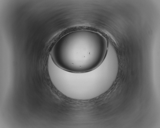 X0000113211064200909101127