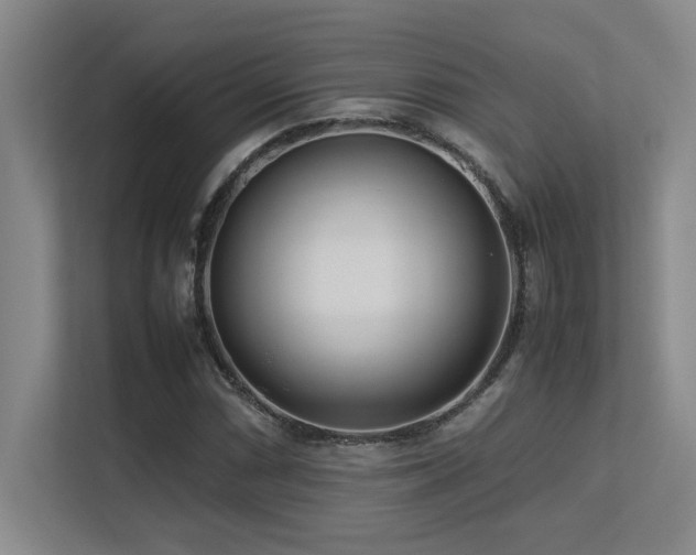 X0000113211066200909101127