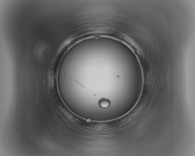 X0000113211067200909101127