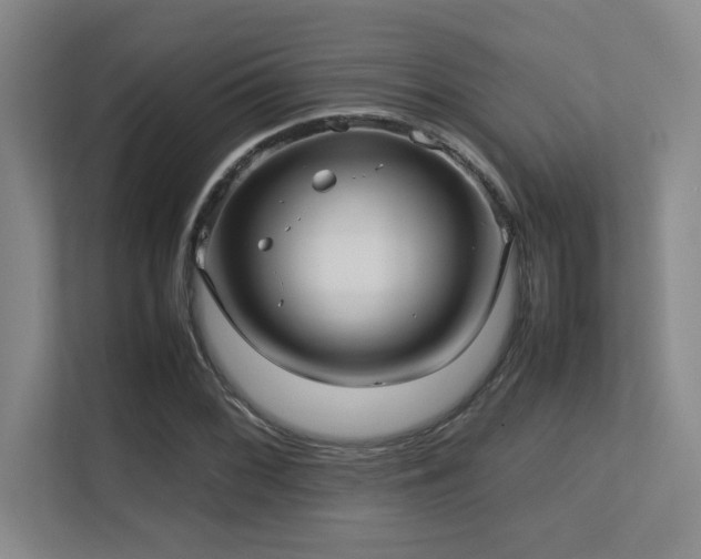 X0000113211068200909101127