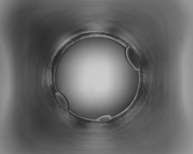X0000113211069200909101127