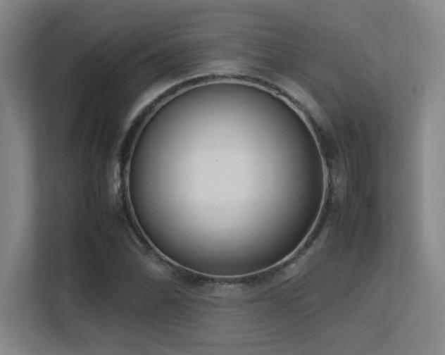 X0000113211070200909101127