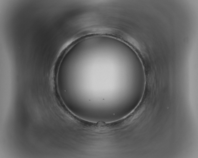 X0000113211071200909101127