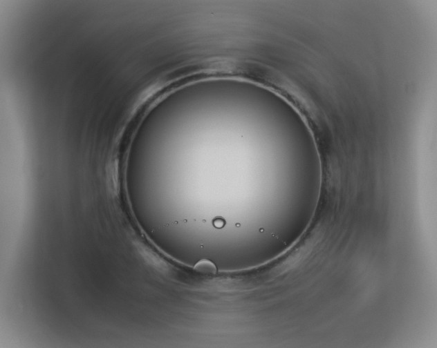 X0000113211075200909101127