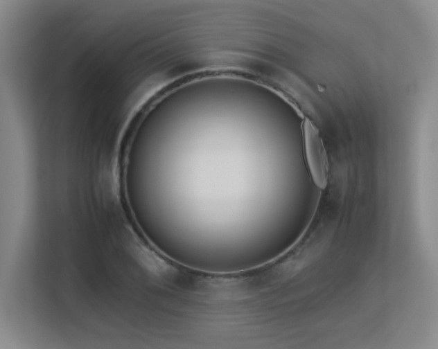 X0000113211076200909101127