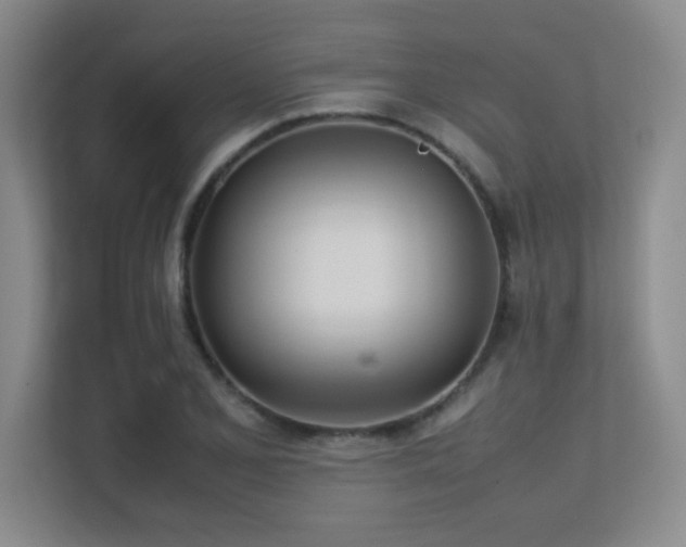 X0000113211077200909101127