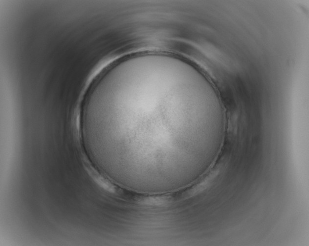 X0000113211078200909101127