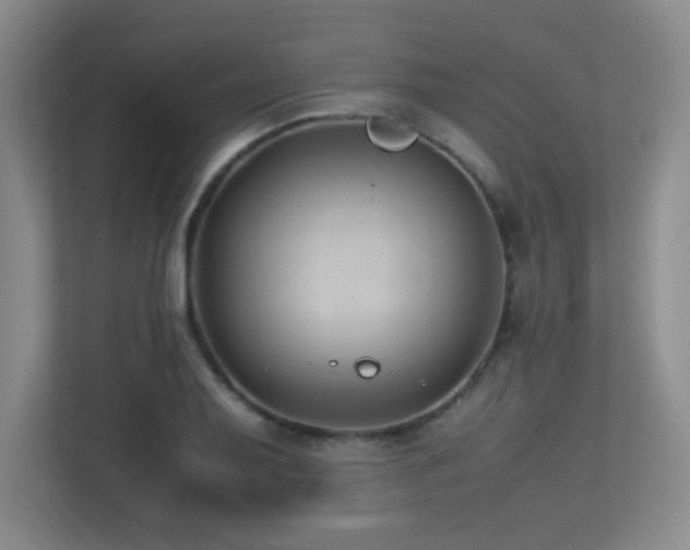 X0000113211079200909101127