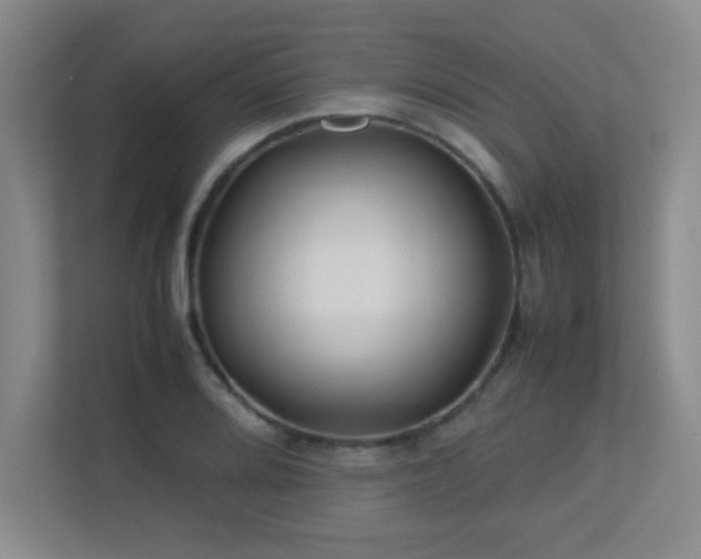 X0000113211080200909101127