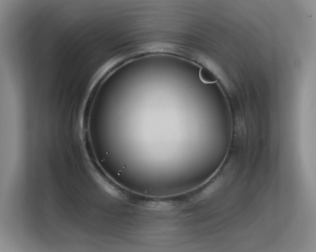 X0000113211082200909101127