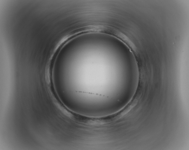 X0000113211083200909101127