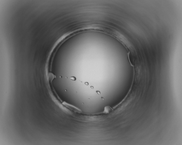 X0000113211084200909101127